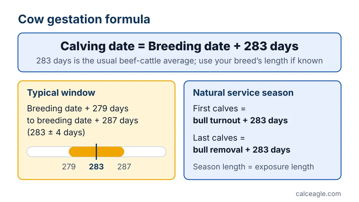 Formula: calving date equals breeding date plus 283 days, with the 279- to 287-day window and the natural-service season rule