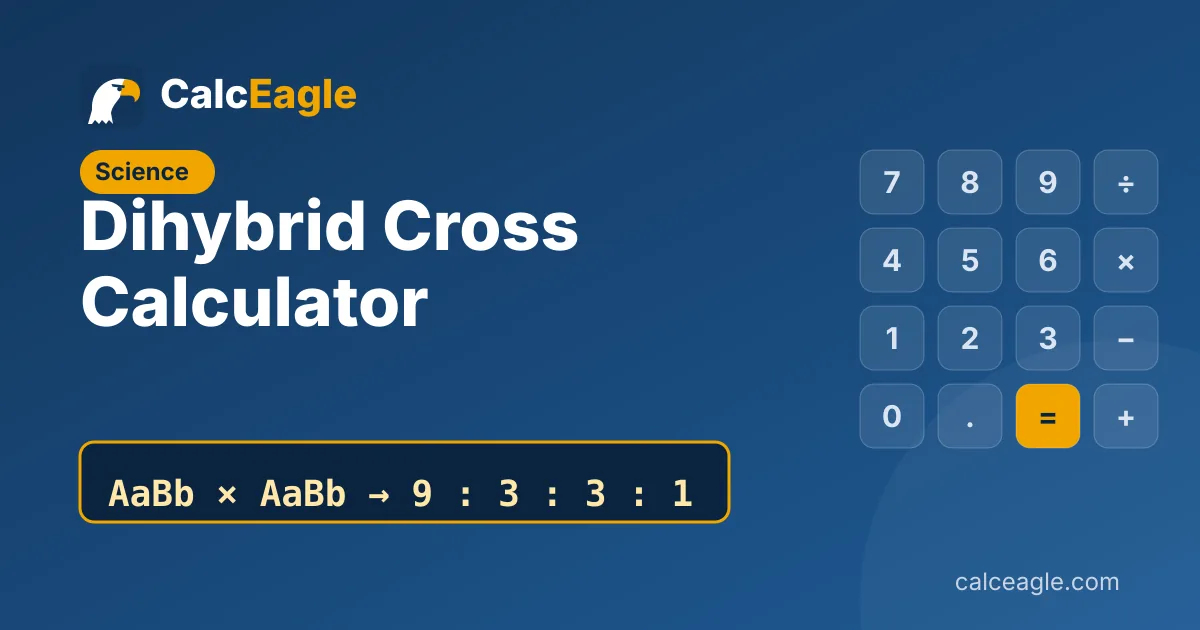 Dihybrid Cross Calculator: AaBb × AaBb → 9 : 3 : 3 : 1