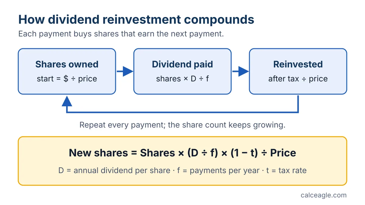Cycle diagram: shares owned earn a dividend, the after-tax dividend buys new shares at the current price, and the larger share count earns the next payment